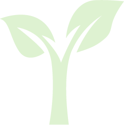 Leaves Hydromulching Leaves Graphic